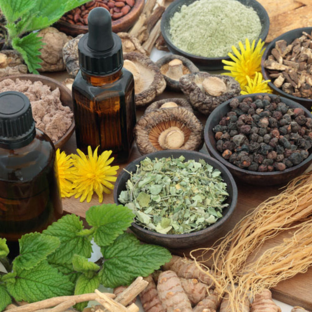 Adaptogens-what-are-adaptogens-and-how-do-they-work